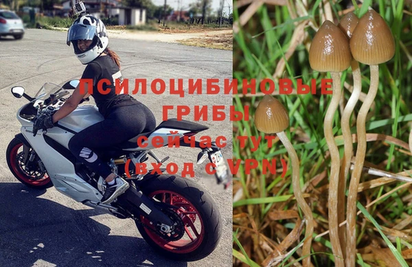 скорость Горняк