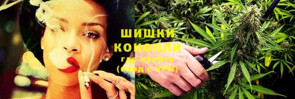 дмт Горнозаводск