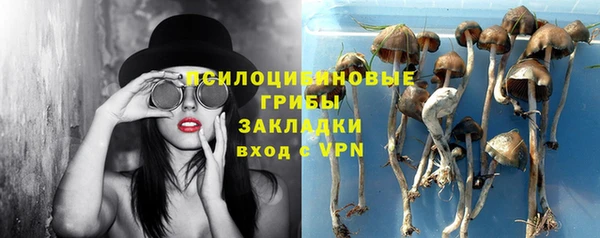 дмт Горнозаводск