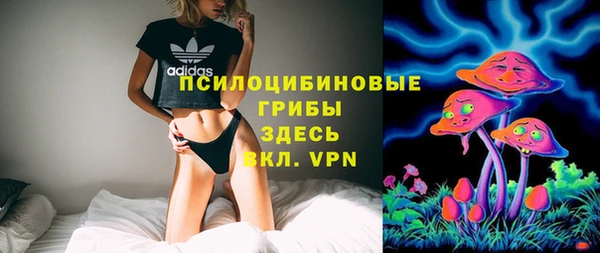 МДПВ Горно-Алтайск