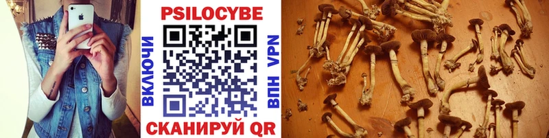 Галлюциногенные грибы мицелий  закладки  Долгопрудный 